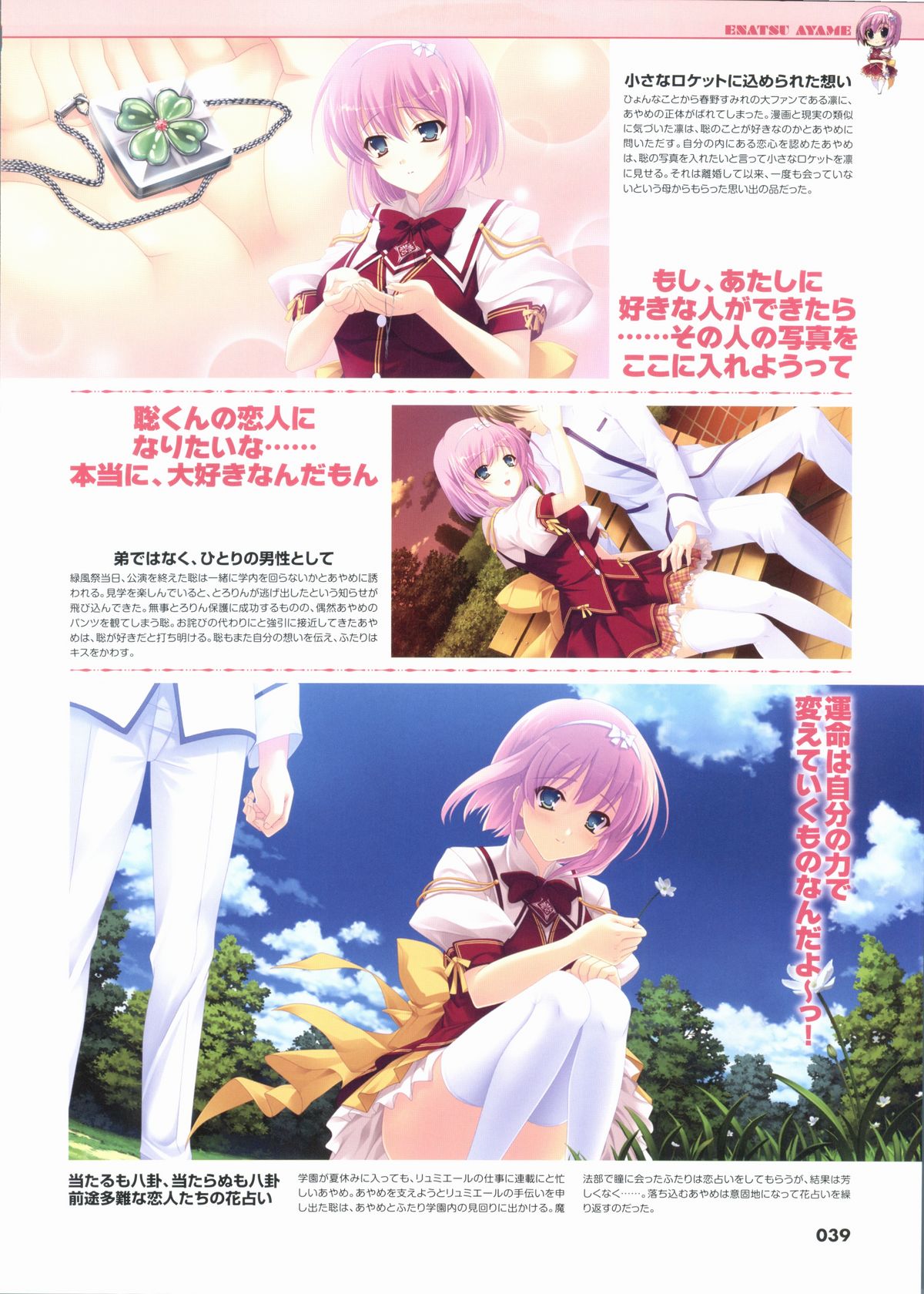 君を仰ぎ乙女は姫にビジュアルファンブック