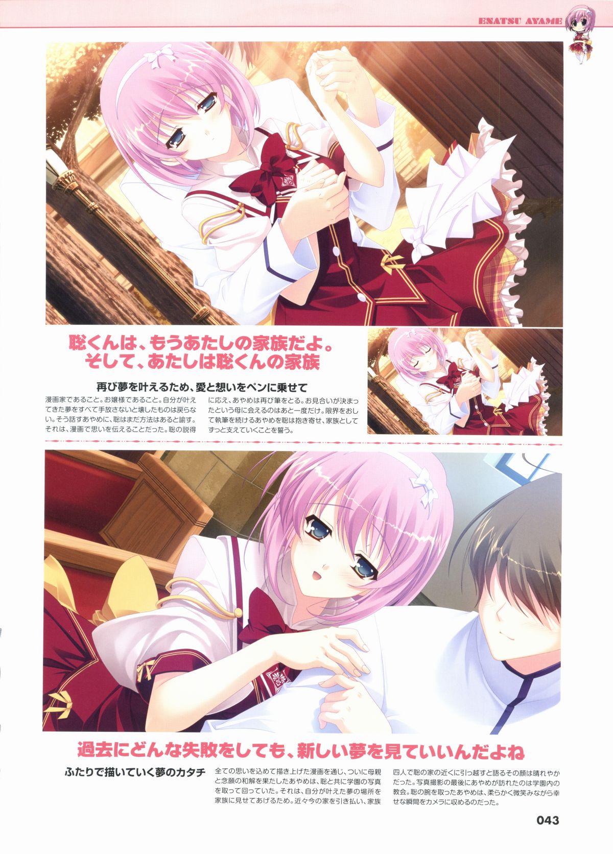 君を仰ぎ乙女は姫にビジュアルファンブック