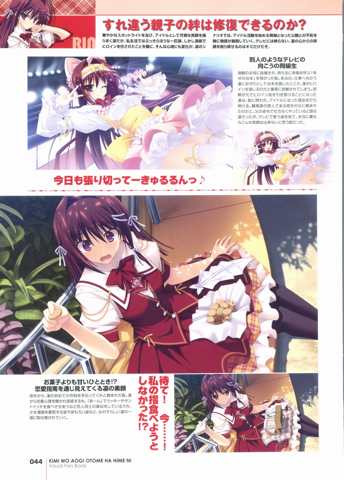 君を仰ぎ乙女は姫にビジュアルファンブック