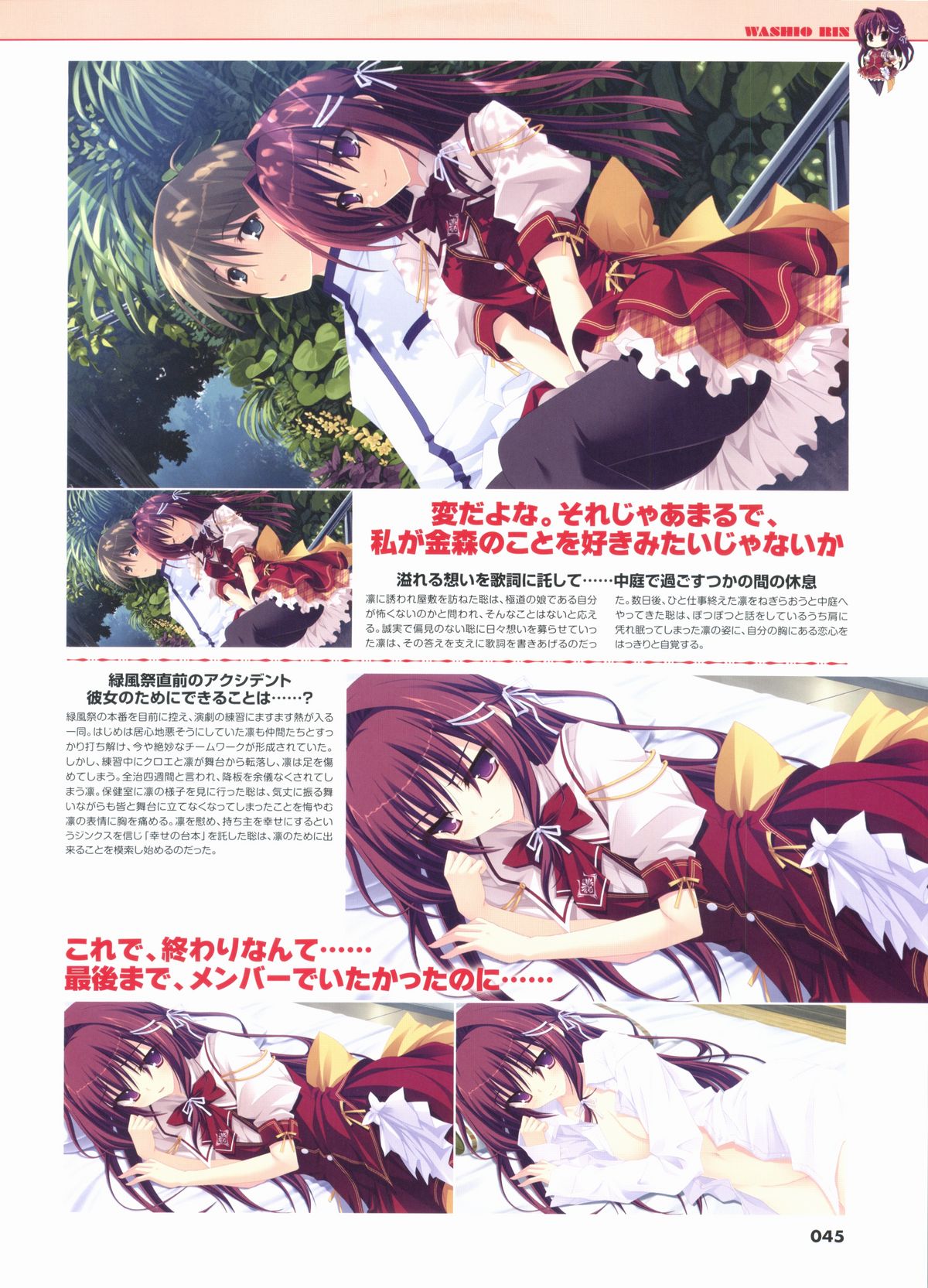 君を仰ぎ乙女は姫にビジュアルファンブック