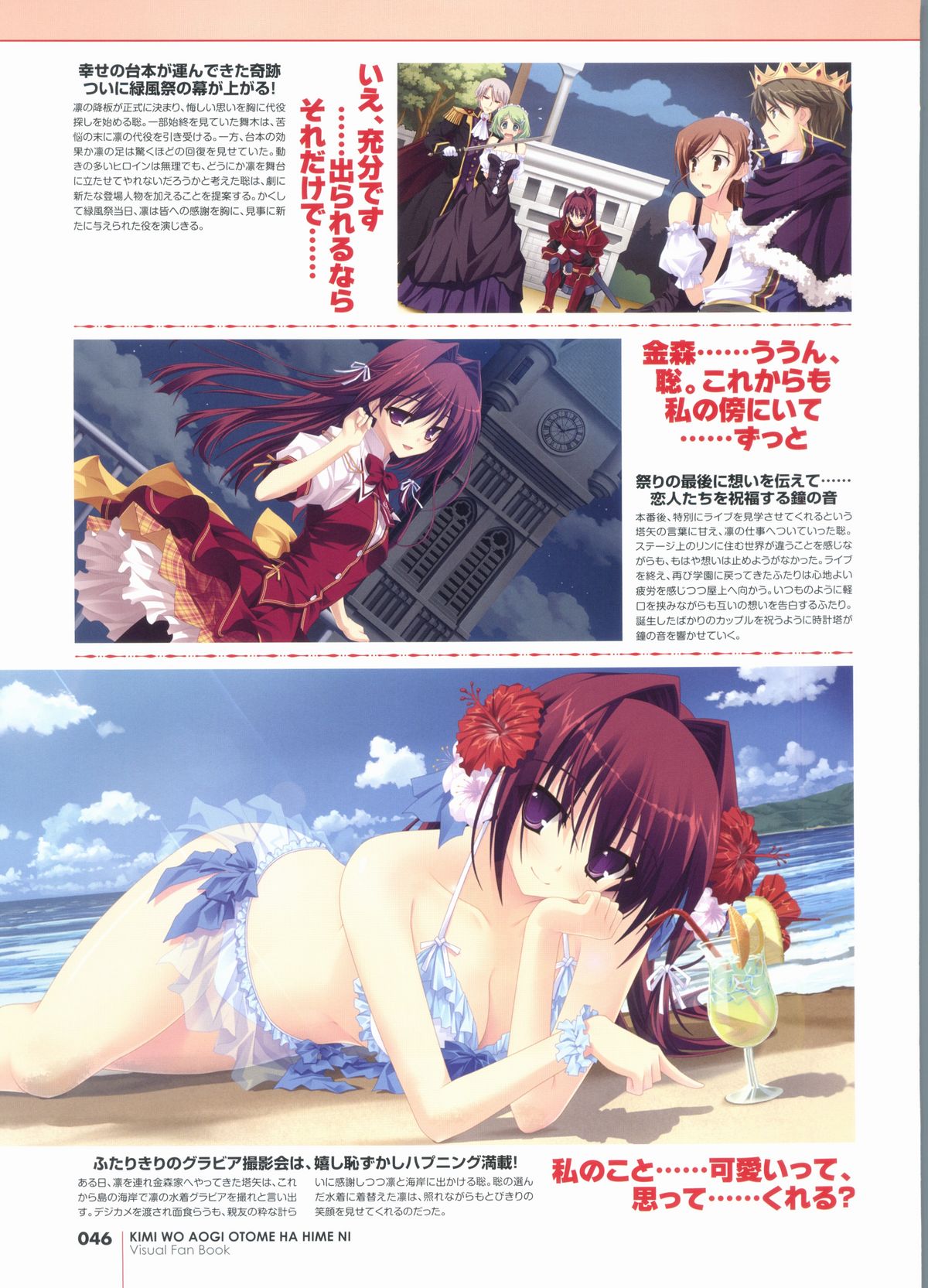 君を仰ぎ乙女は姫にビジュアルファンブック