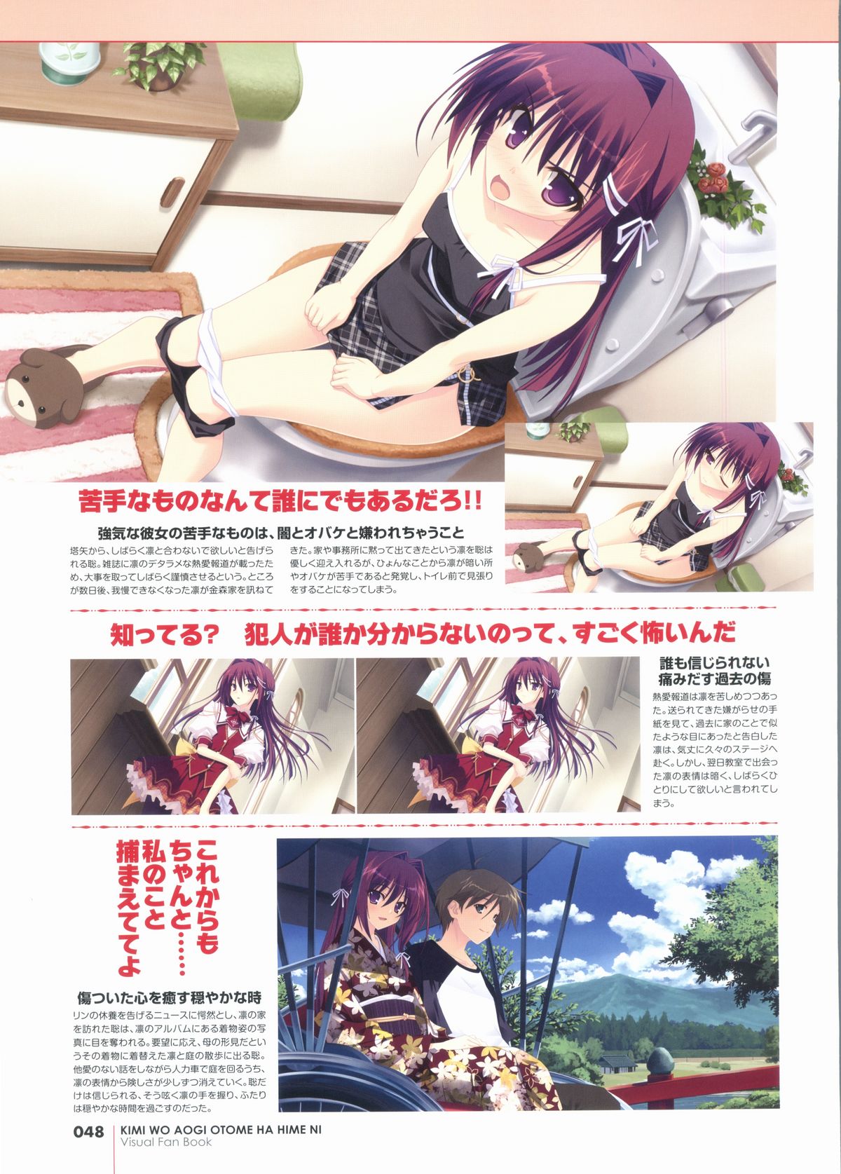 君を仰ぎ乙女は姫にビジュアルファンブック