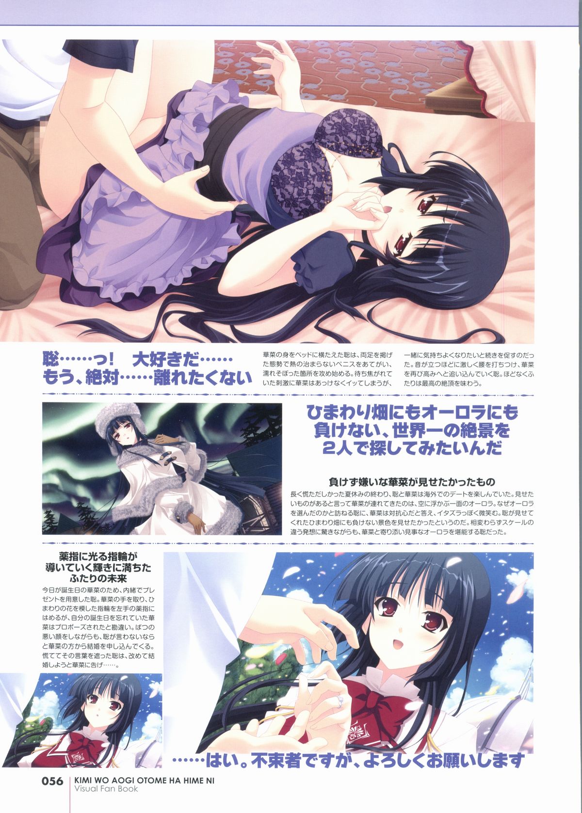 君を仰ぎ乙女は姫にビジュアルファンブック