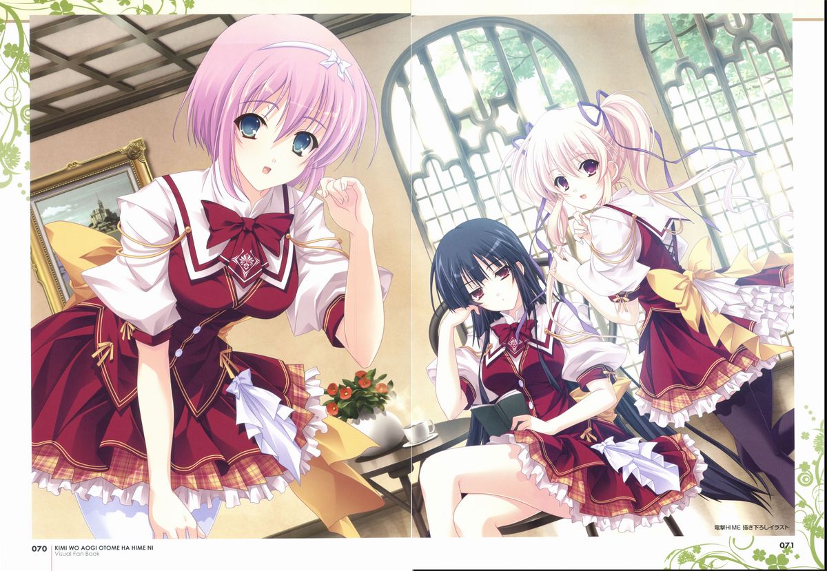 君を仰ぎ乙女は姫にビジュアルファンブック