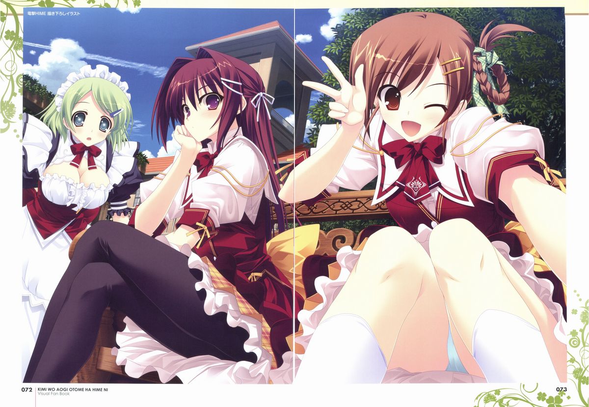 君を仰ぎ乙女は姫にビジュアルファンブック