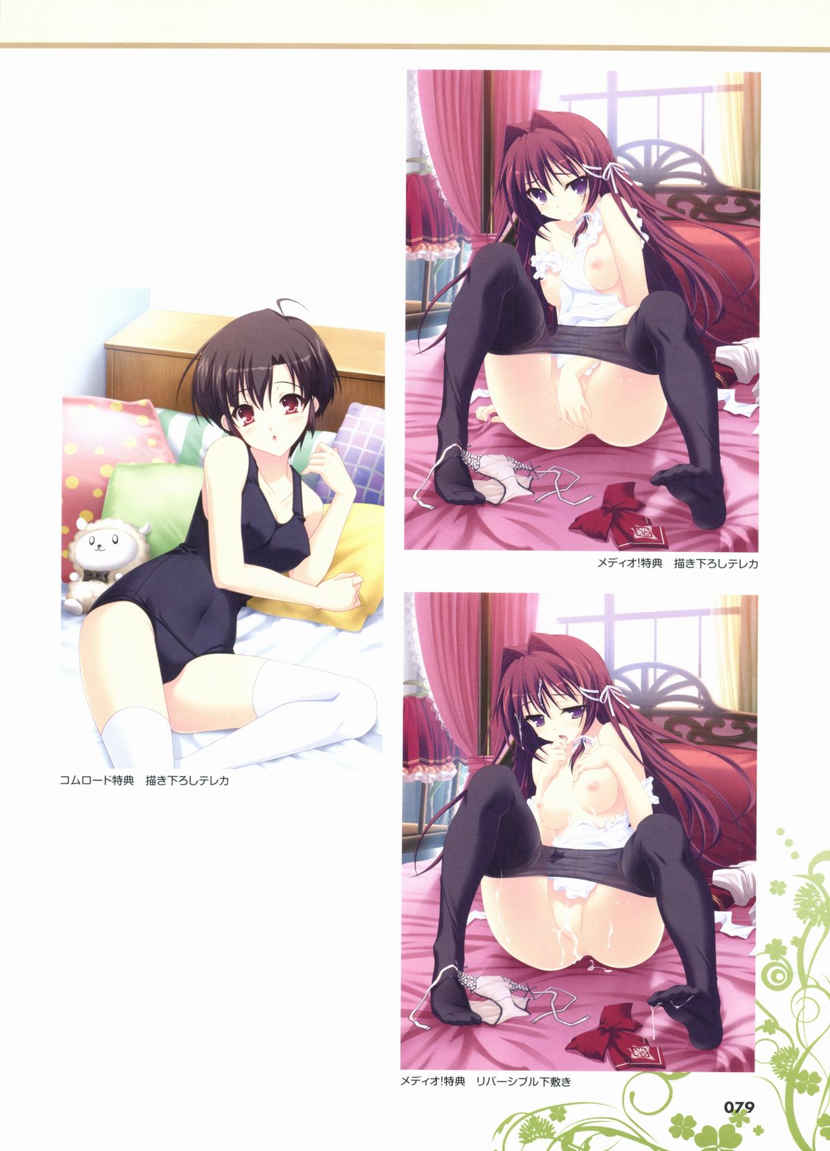 君を仰ぎ乙女は姫にビジュアルファンブック