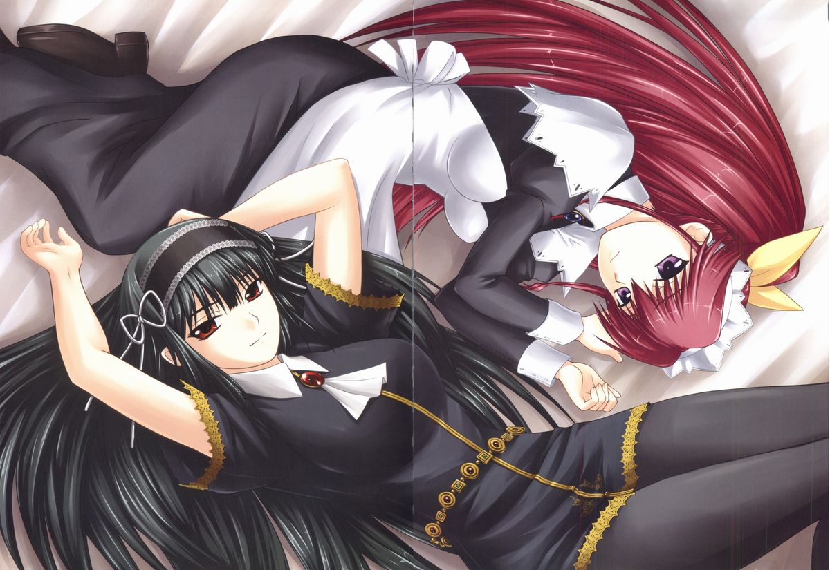 [白猫参謀] 君が主で執事が俺でオフィシャルファンブック