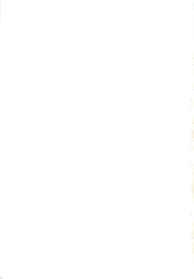 [Flieger (貂)] 大和撫子