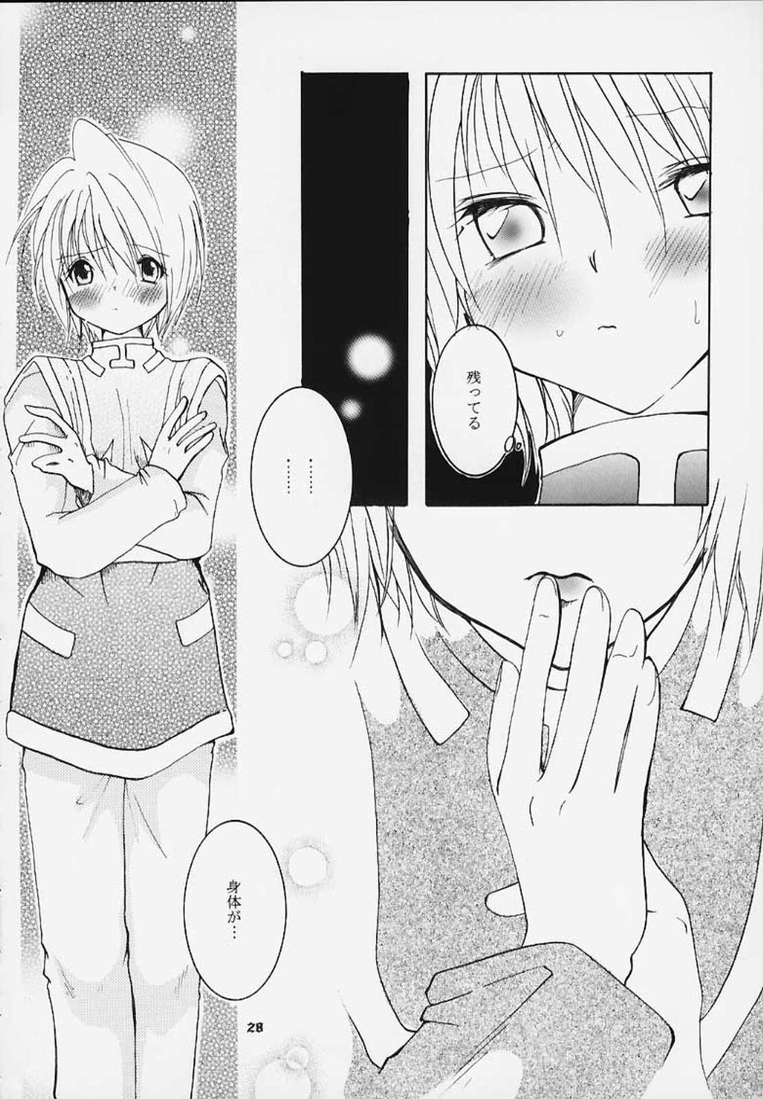 [桜羅&Cherry (桜みつる)] Pink Snow Memoria (ハンター×ハンター)