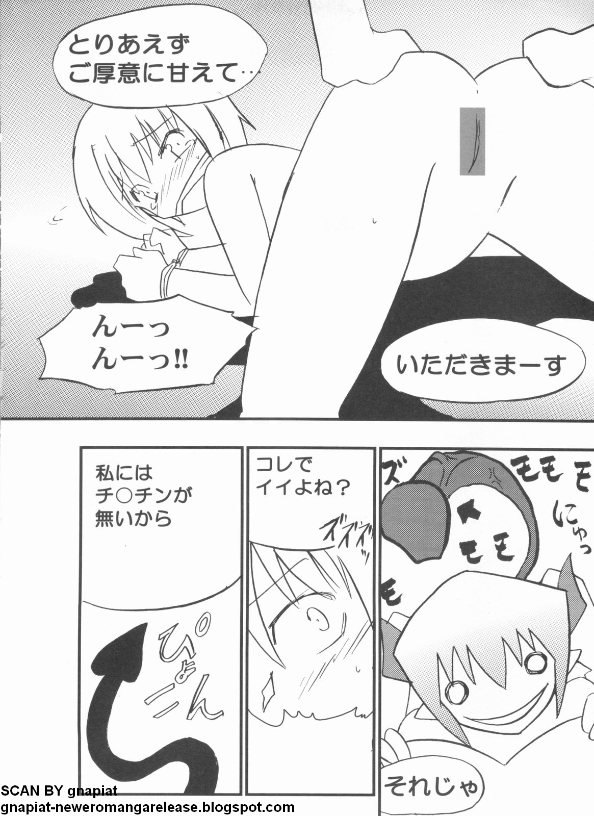 パソコンパラダイス 2009年5月号 Vol.204