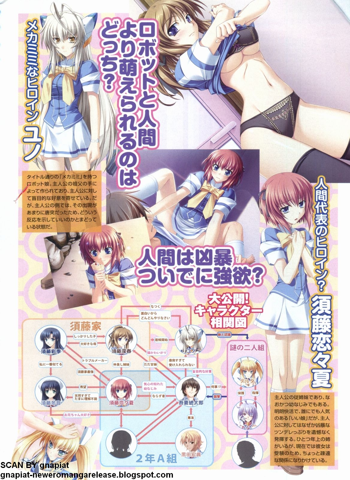 パソコンパラダイス 2009年5月号 Vol.204