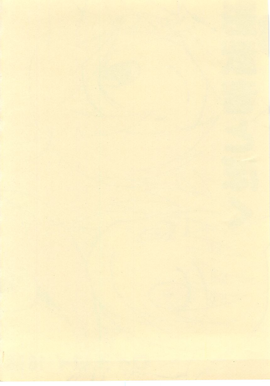 (サンクリ32) [兄貴漢堂 (きりがくれたかや)] 影武者と僕 (幻想水滸伝 5)