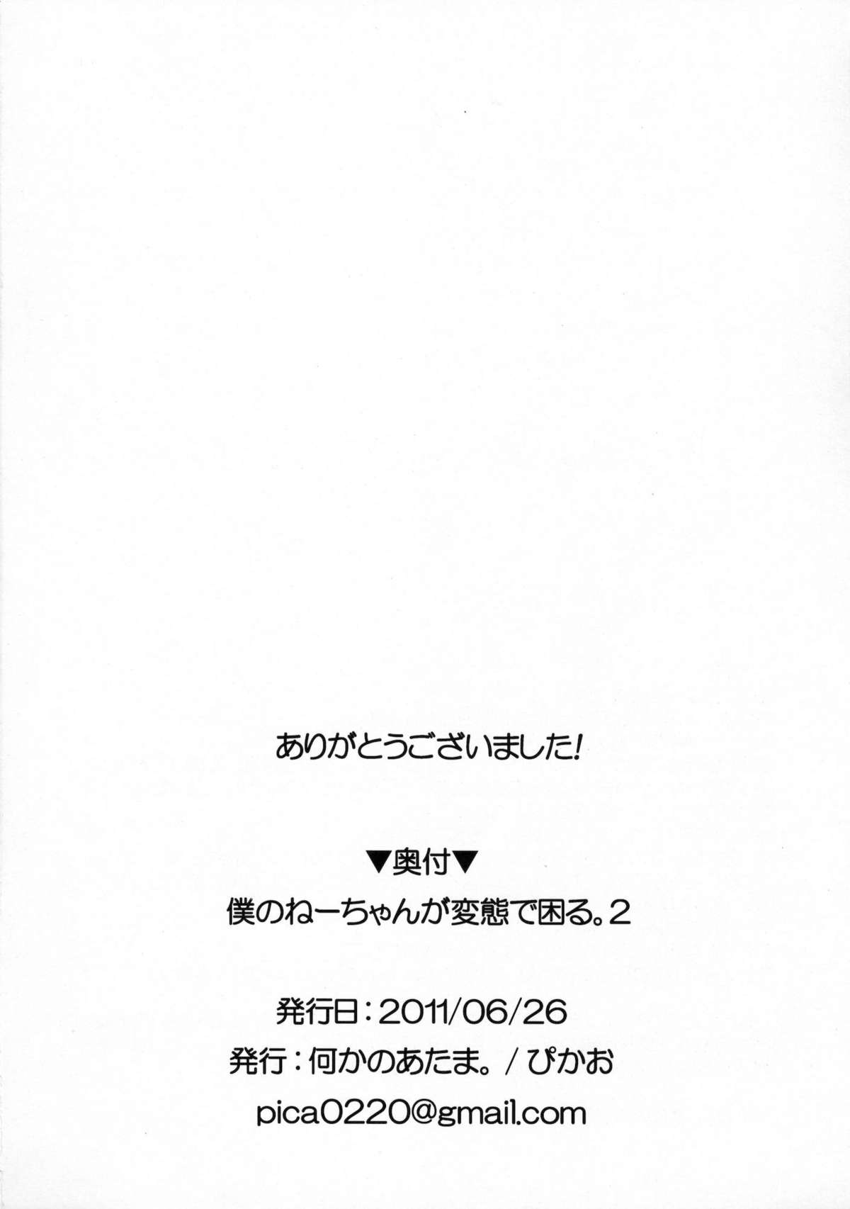 [何かのあたま! (ぴかお)] 僕のねーちゃんが変態で困る。2 [英訳]