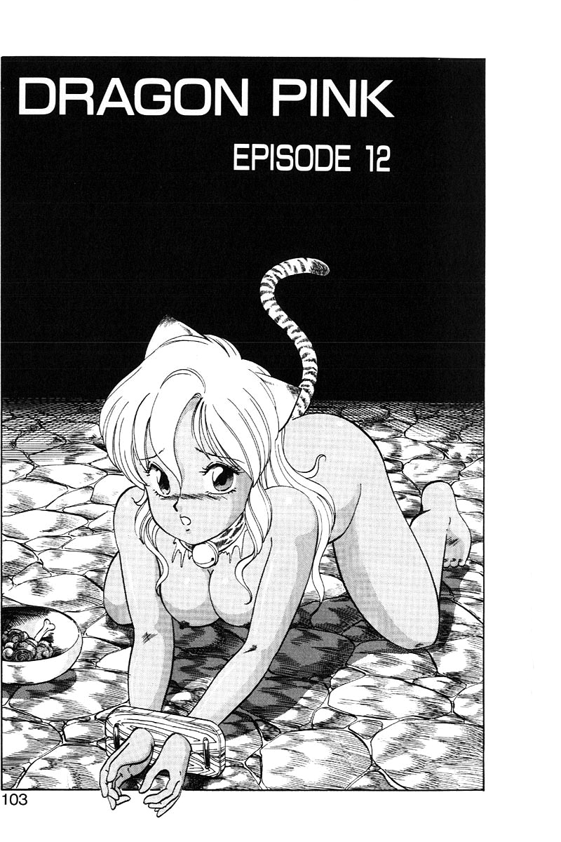 [ITOYOKO] ドラゴンピンク2 [英訳]