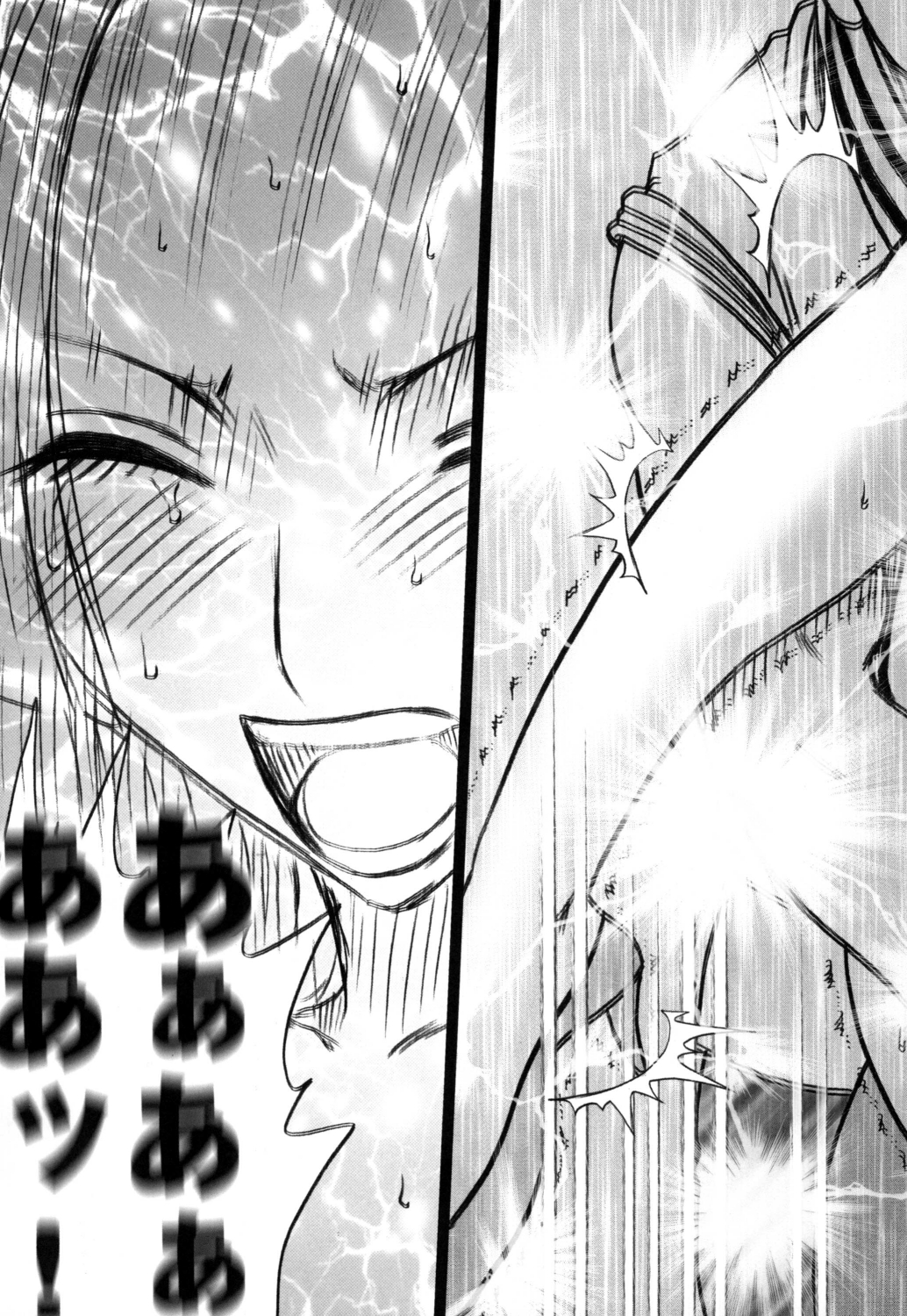 [クリムゾン (カーマイン)] 蛇姫2 ( ワンピース) [DL版]