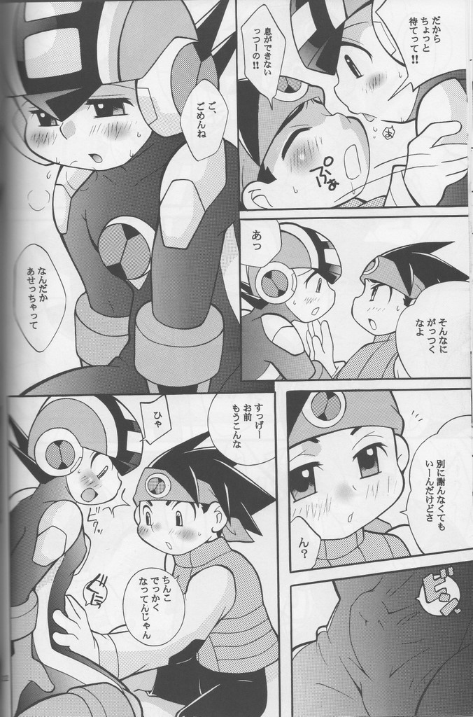 [腹黒天使（なるかみ）] Buon Compleanno! (ロックマンエグゼ)