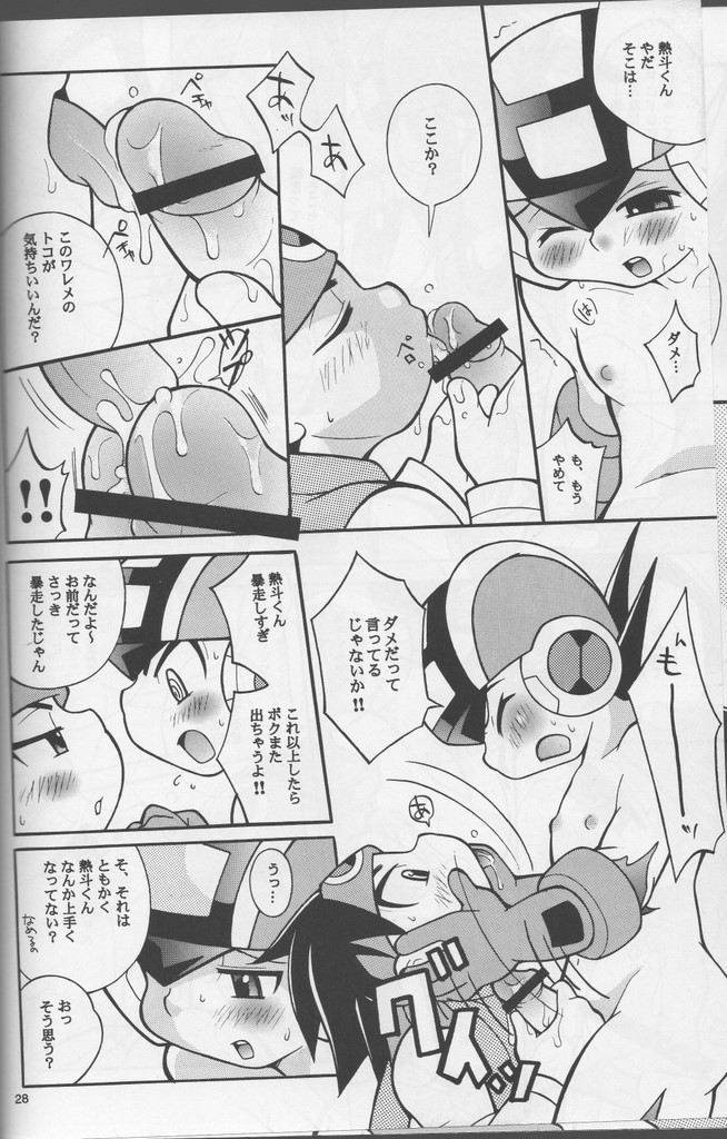 [腹黒天使（なるかみ）] Buon Compleanno! (ロックマンエグゼ)