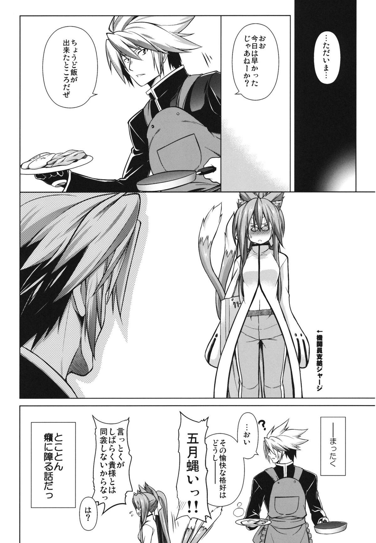 (C81) [STUDIO TIAMAT (TANABE)] BREAK BLUE STRAY CAT EXTEND (ブレイブルー)