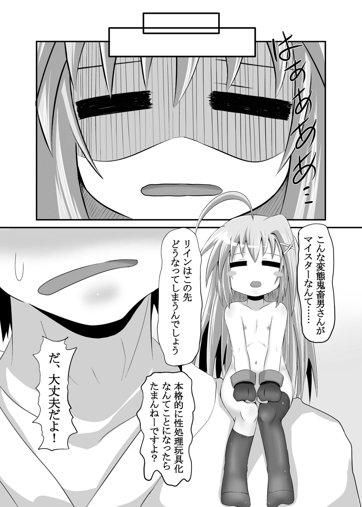 [とんこつふうみ (ぽんこつ)] リインが俺のデバイスだったら (魔法少女リリカルなのは) [DL版]