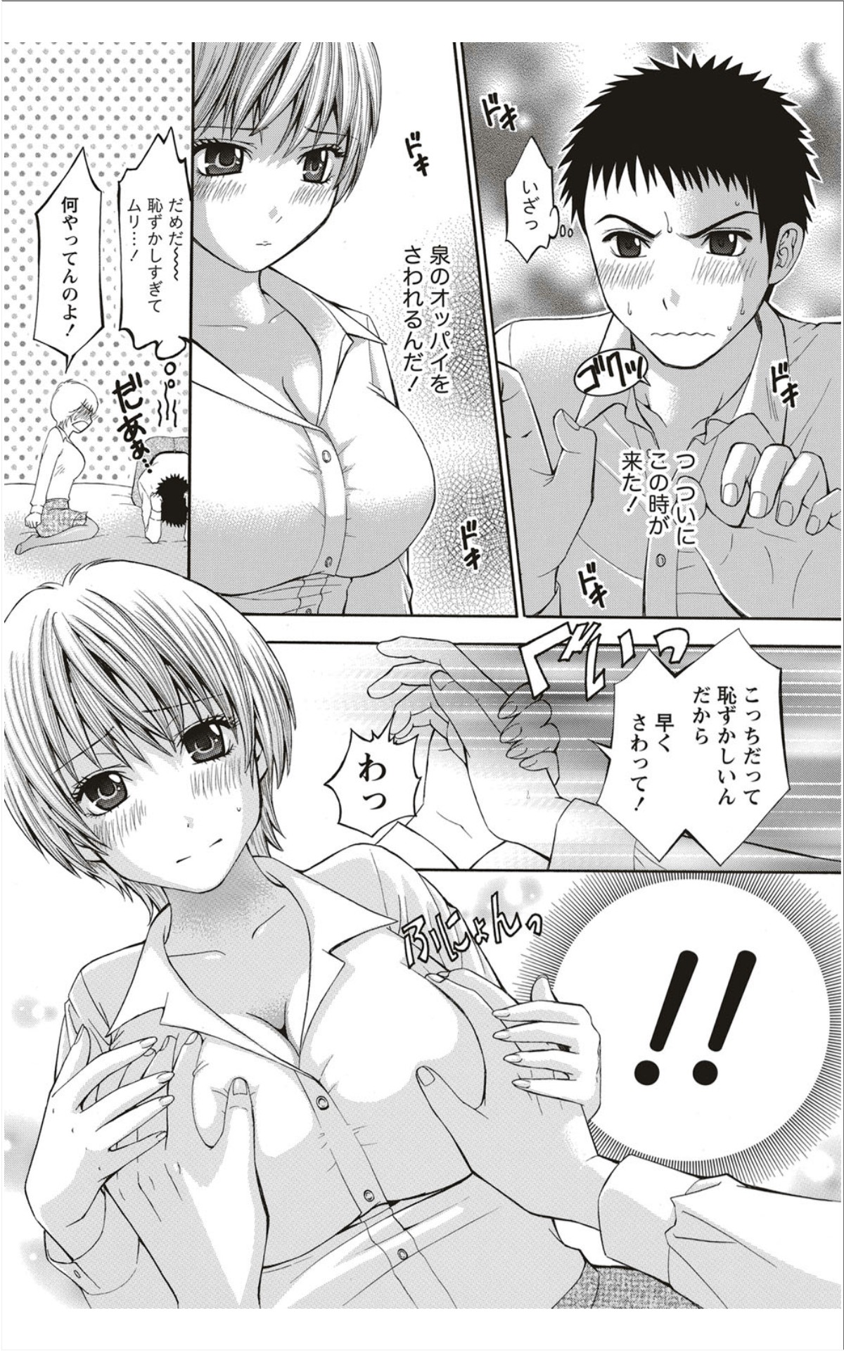 月刊 ビタマン 2012年1月号