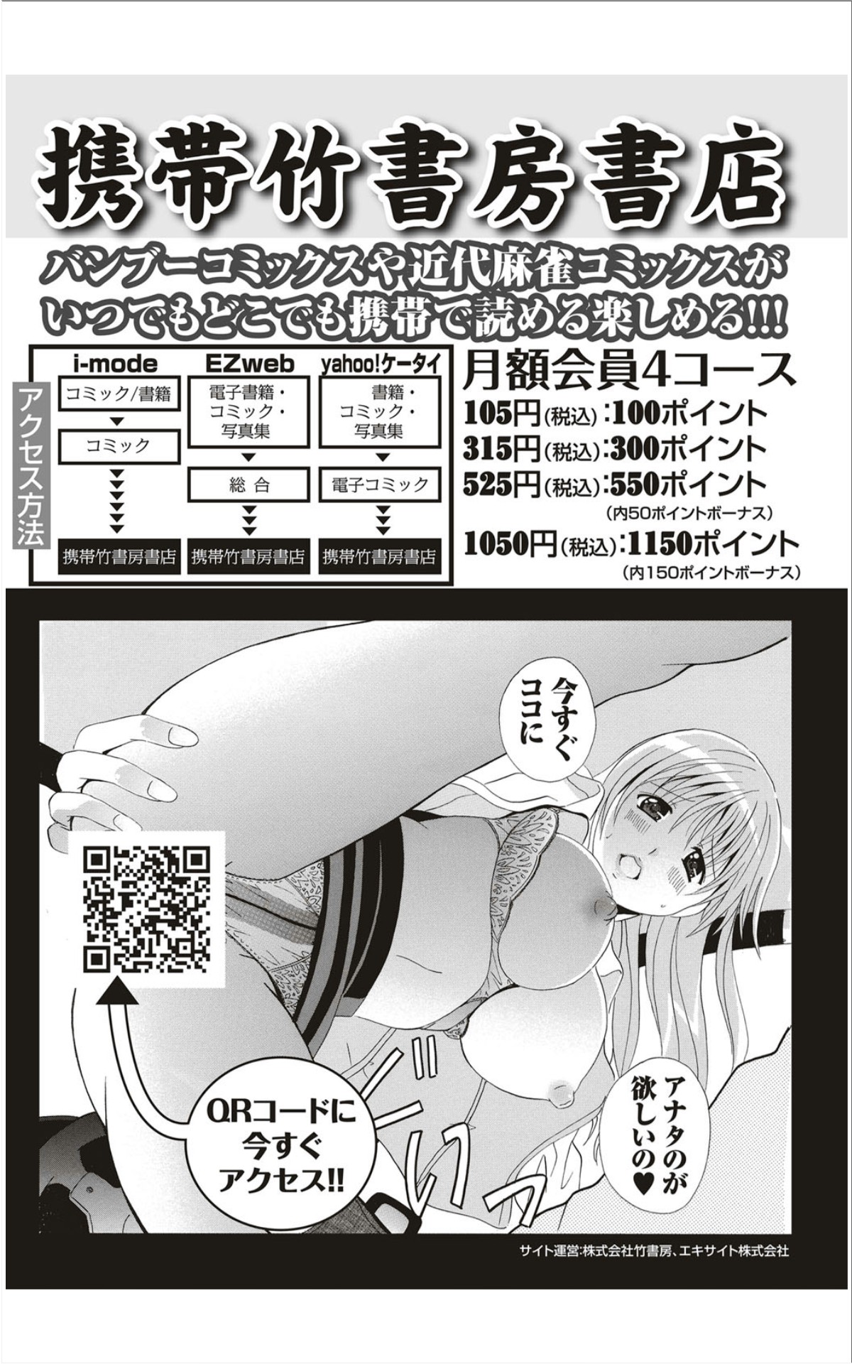 月刊 ビタマン 2012年1月号