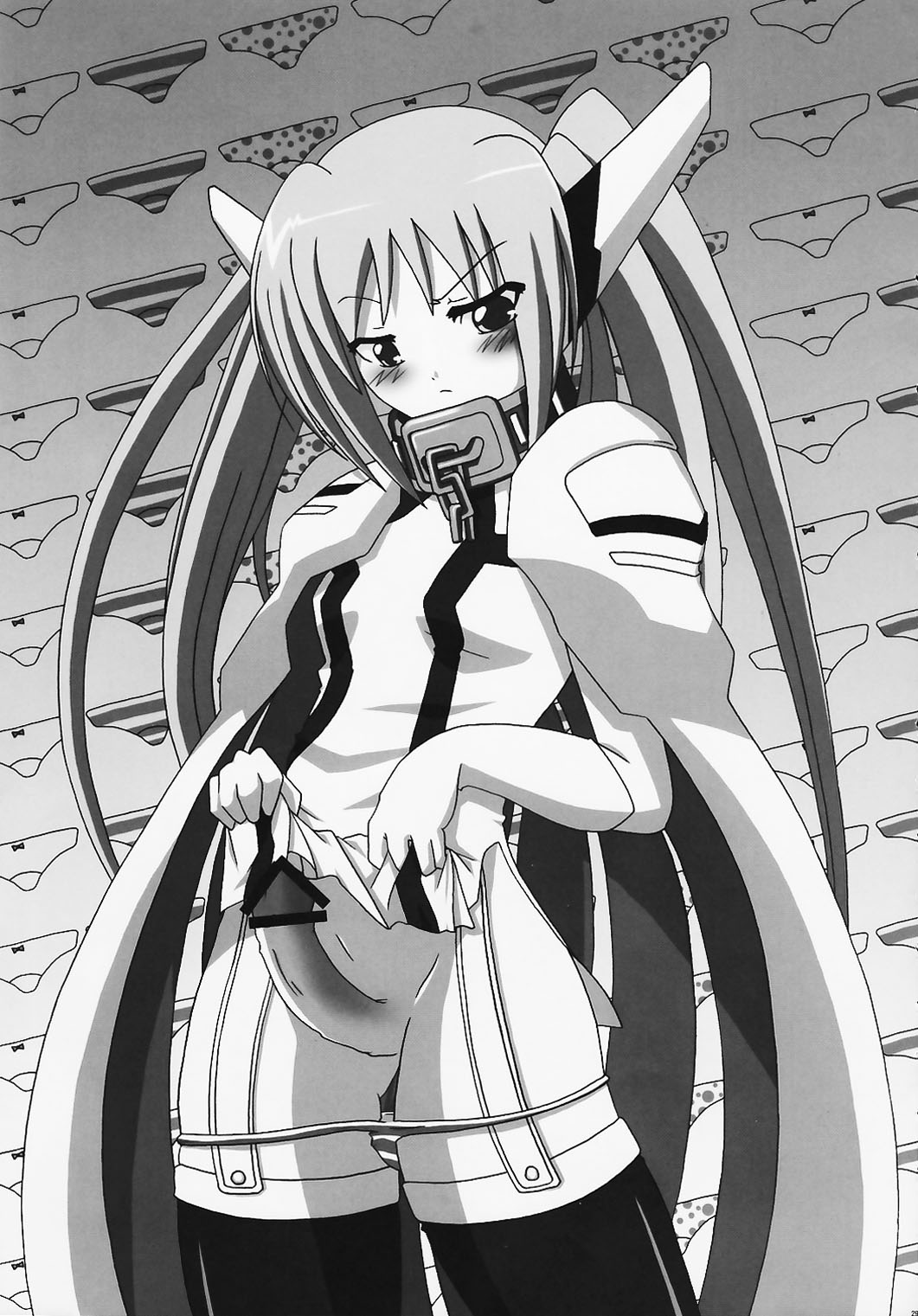 [C.R's NEST] EXTREME＆quot; W＆quot;