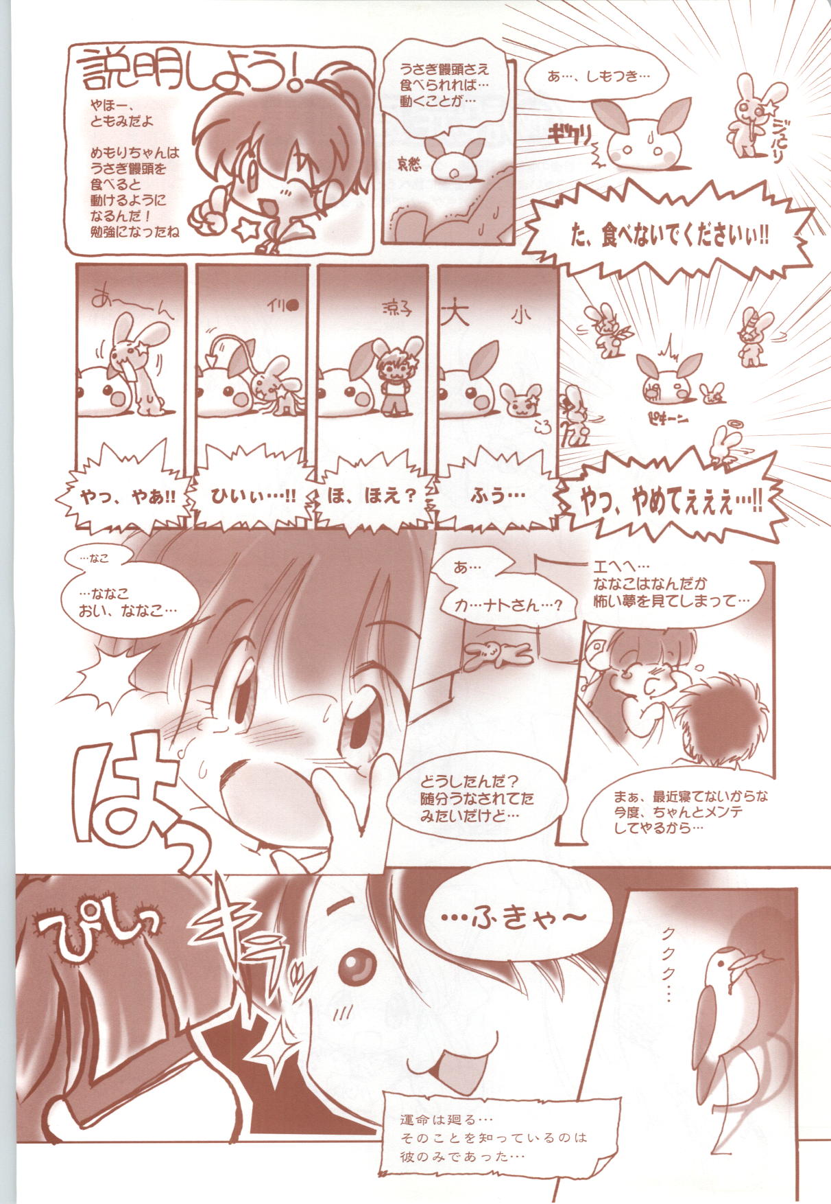 [藤岡タマエ] RISE ～ライズ～ 攻略&設定資料集