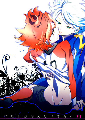 【極道大源水】わたしがみえないきみえ（いなずまイレブン）【生】