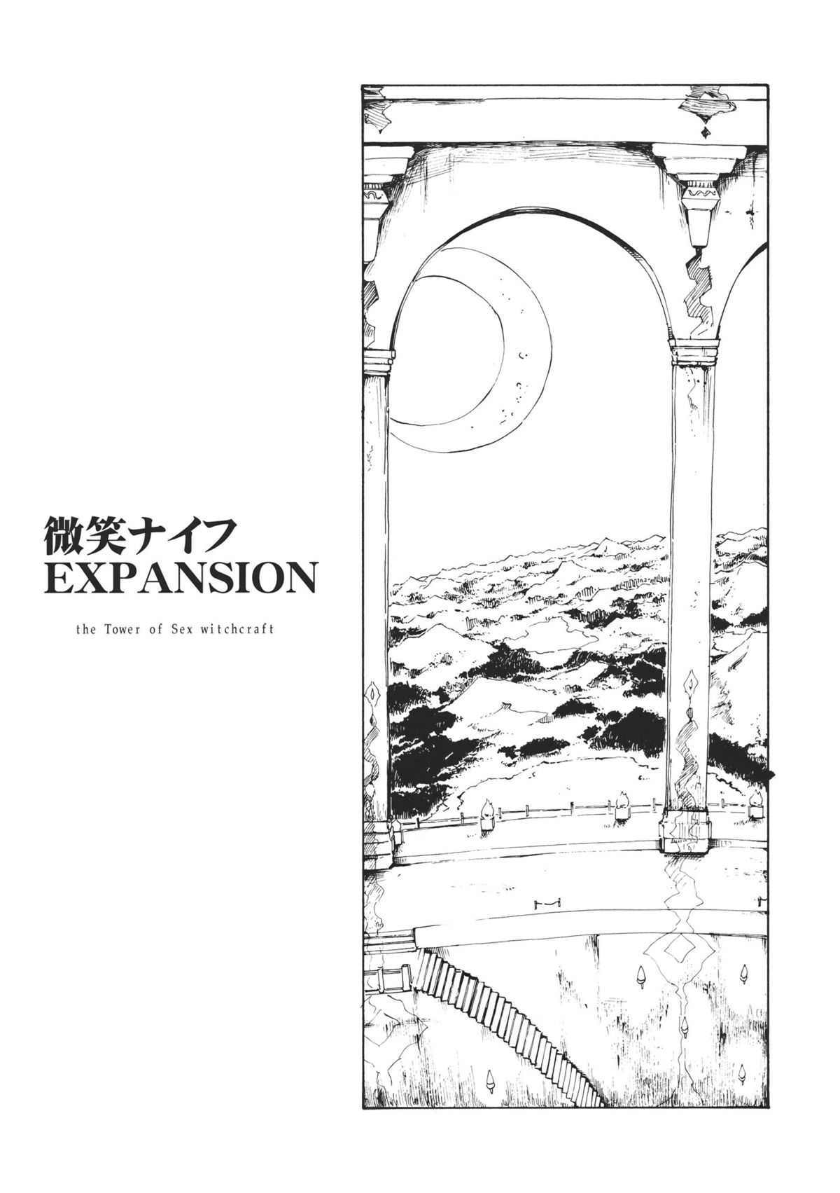 (C80) [PARANOIA CAT (藤原俊一)] 東方浮世絵巻 微笑ナイフEXPANSION (東方Project)