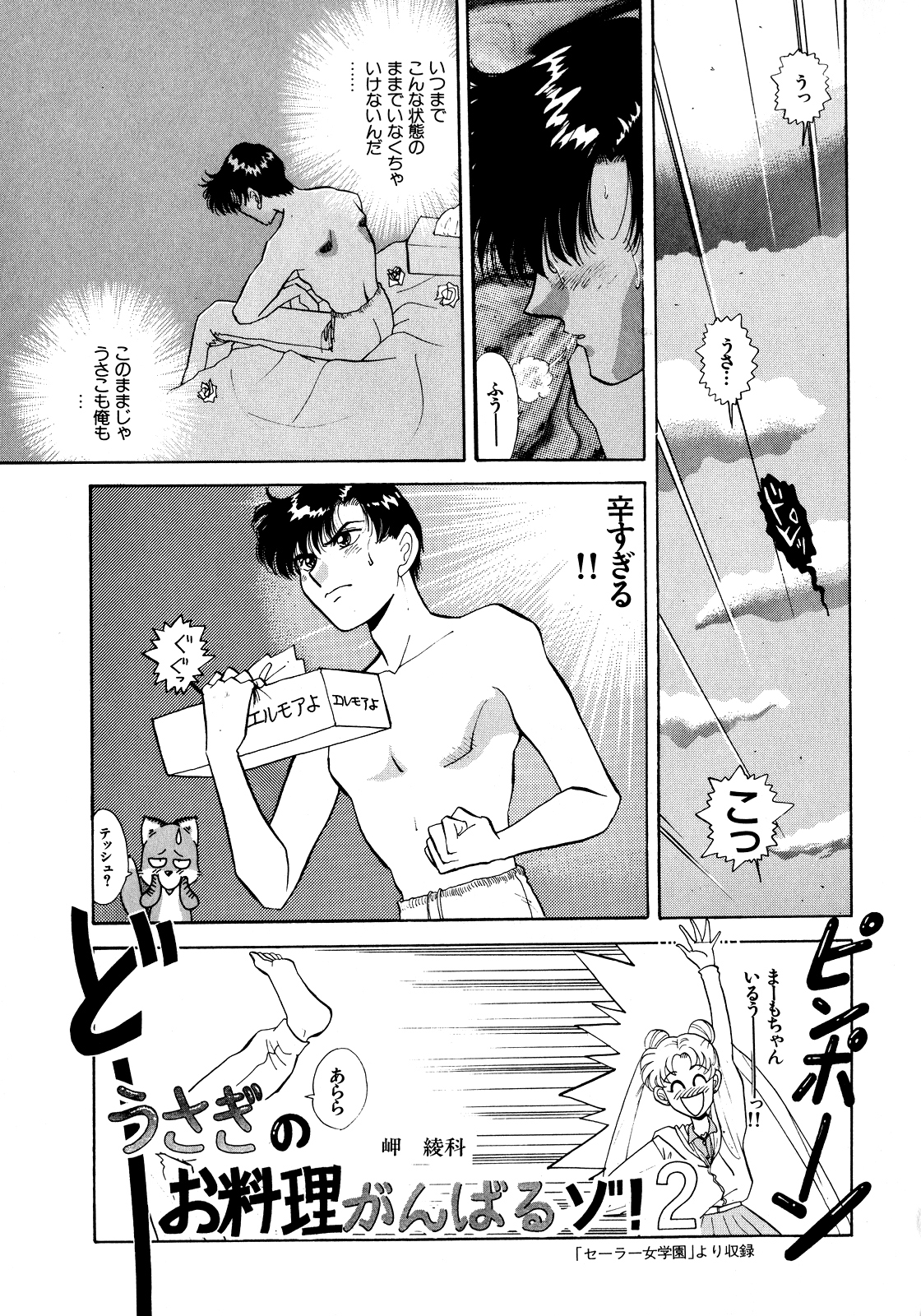 [アンソロジー] ルナティックパーティー5 (美少女戦士セーラームーン)