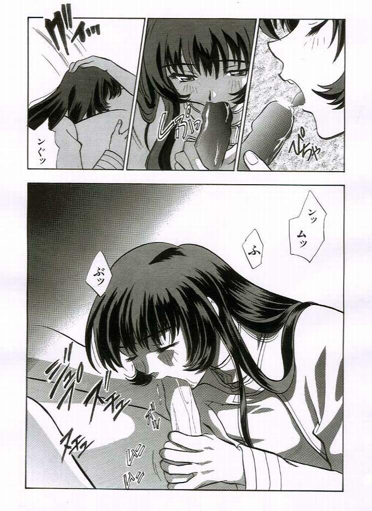 おとなのマンガ (機動戦艦ナデシコ)