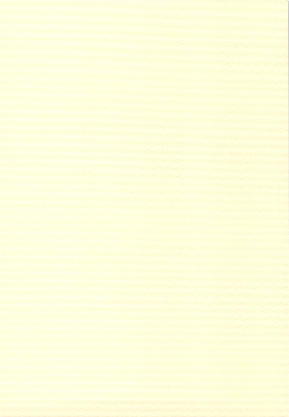 (サンクリ50) [TIMTIMマシン] なのはと早輝 (魔法少女リリカルなのは)