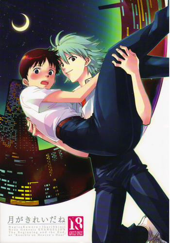 (C79) [WILDCAMEL (印度ともよし)] 月がきれいだね (新世紀エヴァンゲリオン)