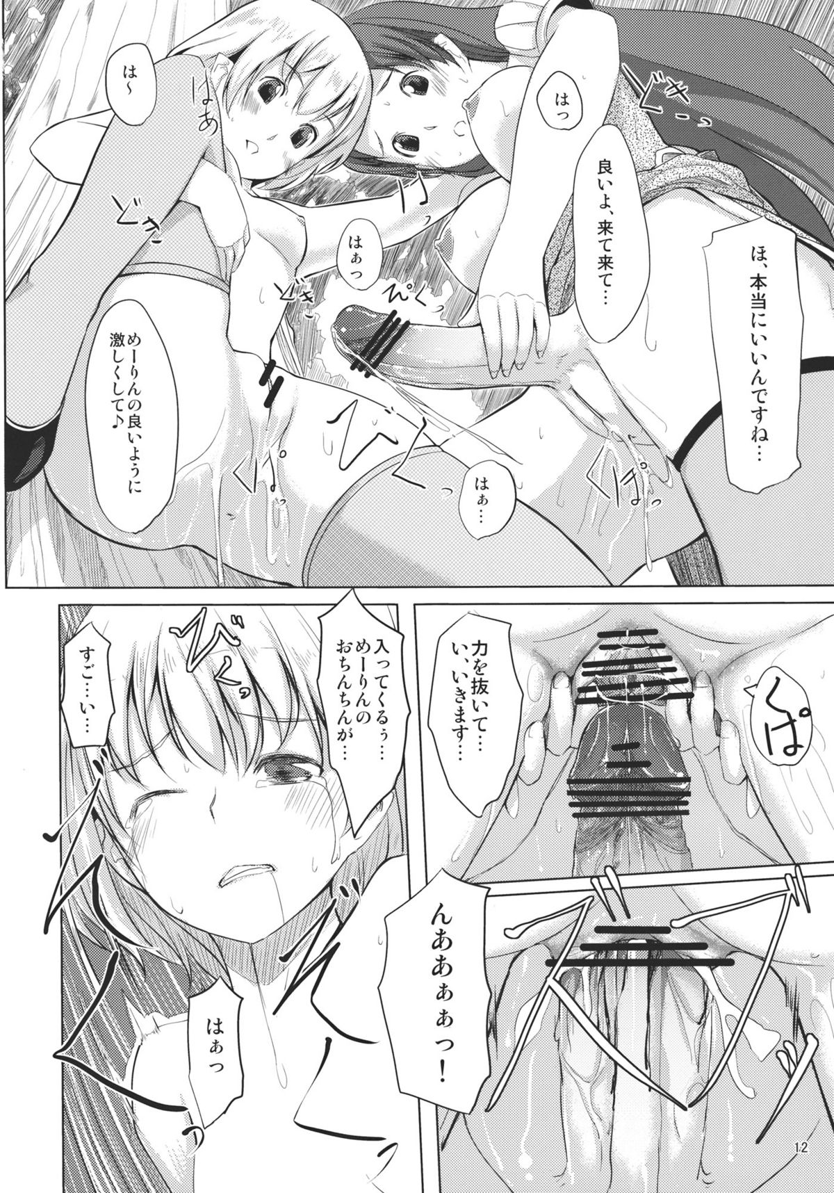 (C79) [てろめあな (ぐすたふ)] ふらんちゃんいんふぃにてぃ (東方Project)