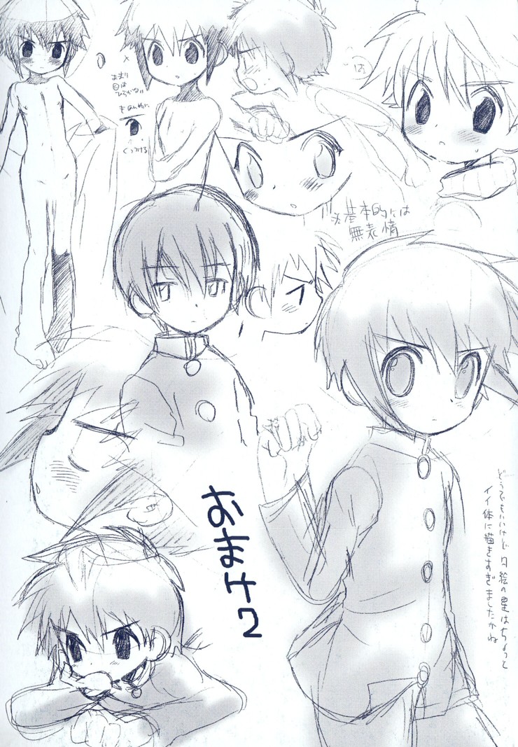 [星逢ひろ] 忘れな花畑