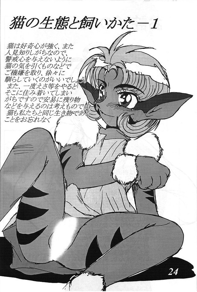 [G-TWO UNIT 麗華堂 (バロン森)] MOVA FILE3 ひとみ! ダイヤモンド!! (天空のエスカフローネ)