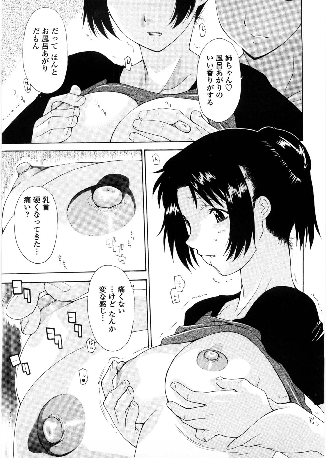 [伊沢慎壱] 姉妹いずむ