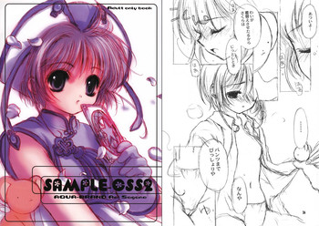 [ AQUA-BRAND (さがのあおい) ] [ 2000-08-16 ] - SAMPLE-CSS2 (CCさくら)