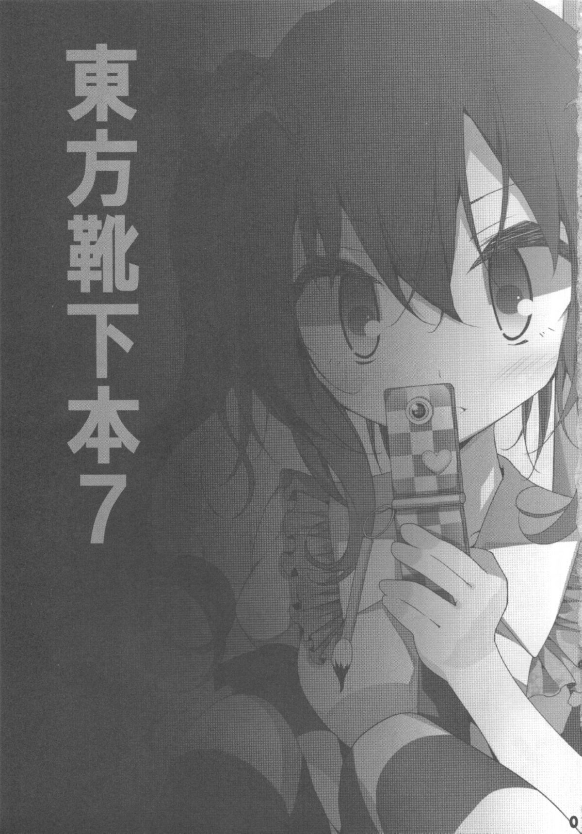 (例大祭8) [嘘つき屋 (大嘘)] 東方靴下本7 (東方Project)