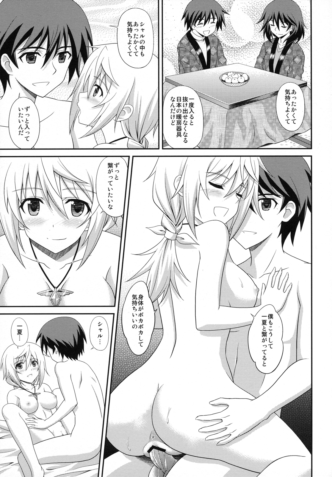 (COMIC1☆5) [黒酢堂 (まさきち)] Infinite Sex (インフィニット・ストラトス)