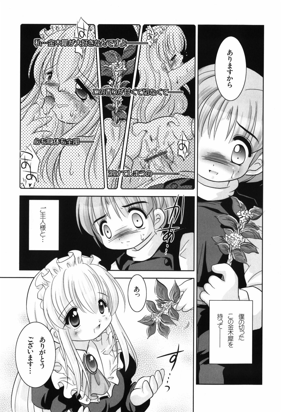 [てとらまっくす] ヘルシービーンズ