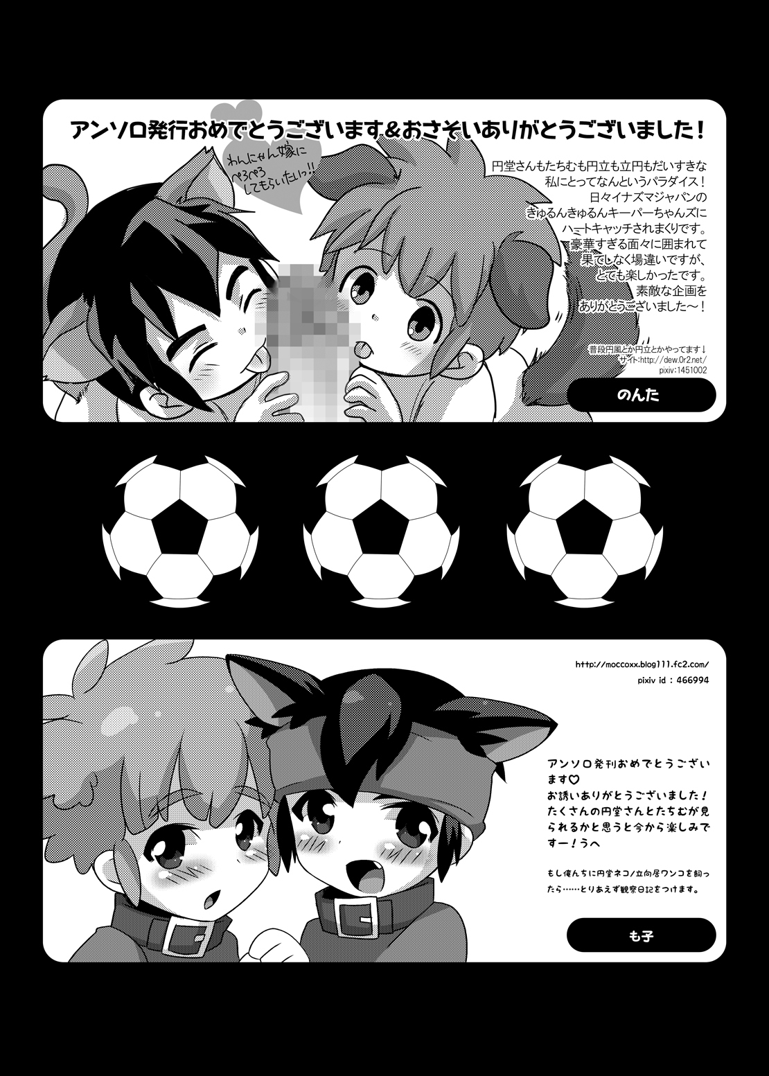 ふたりはハートキャッチャー（稲妻イレブンコレクション）