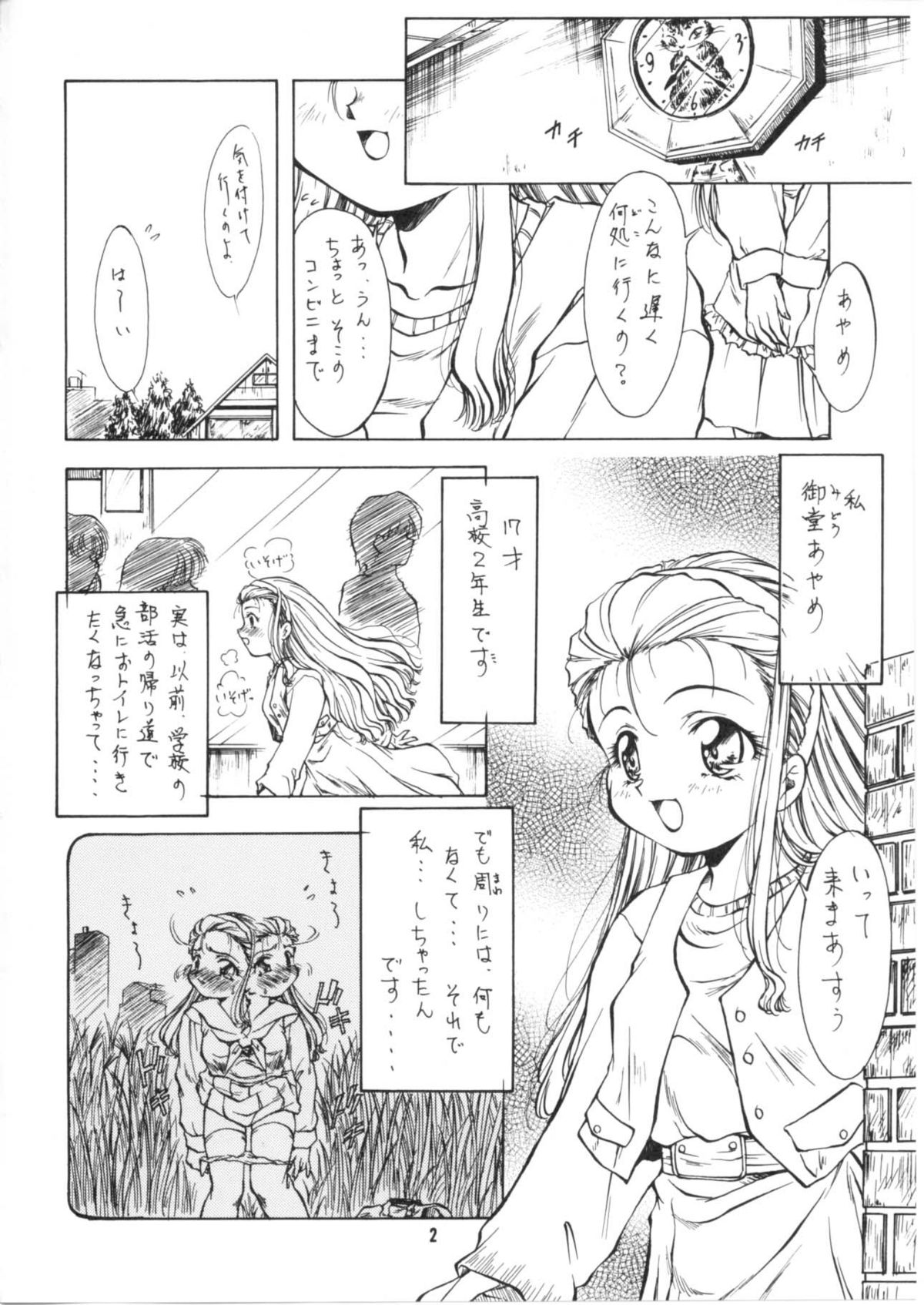 (C55) [姫倶楽部 (霧風、こうもり貝人)] 陵辱～あやめ～