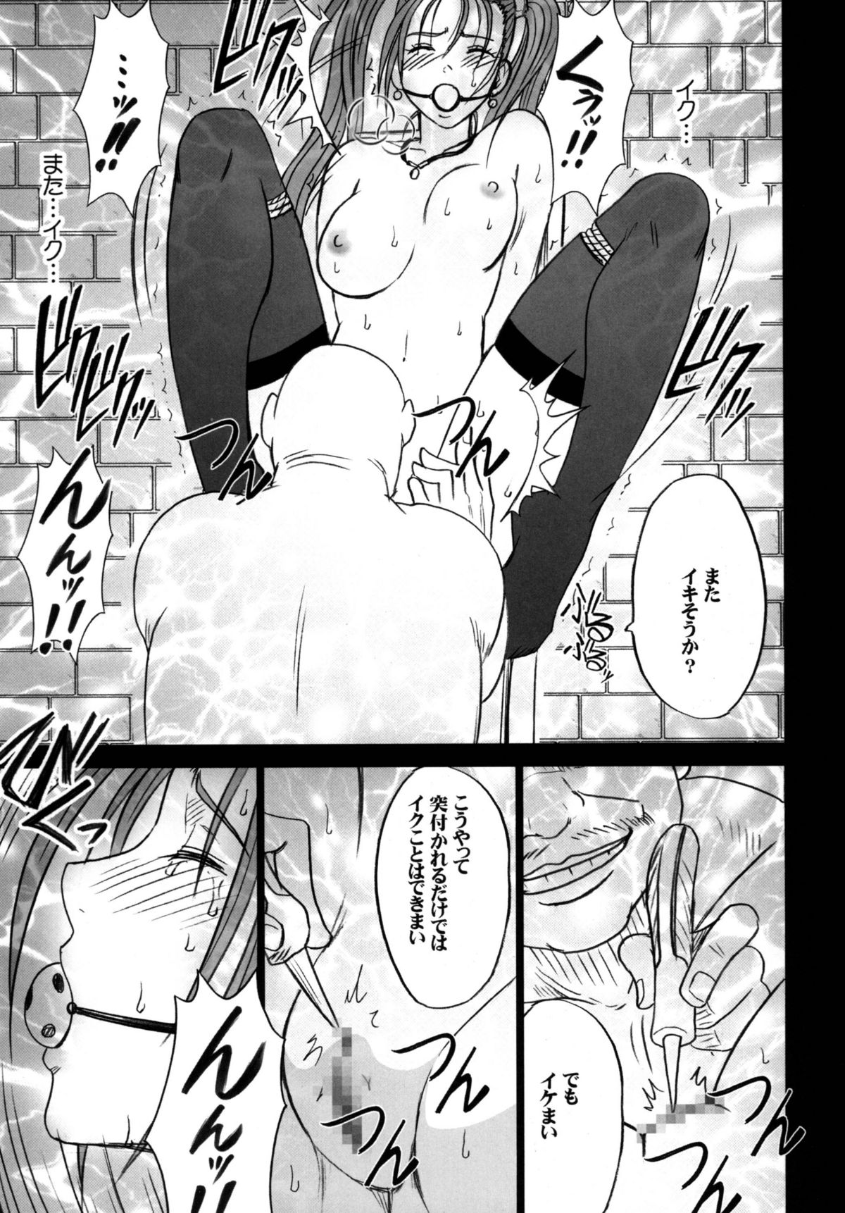 [クリムゾンコミックス (クリムゾン)] 探究総集編 (ドラゴンクエスト) [DL版]