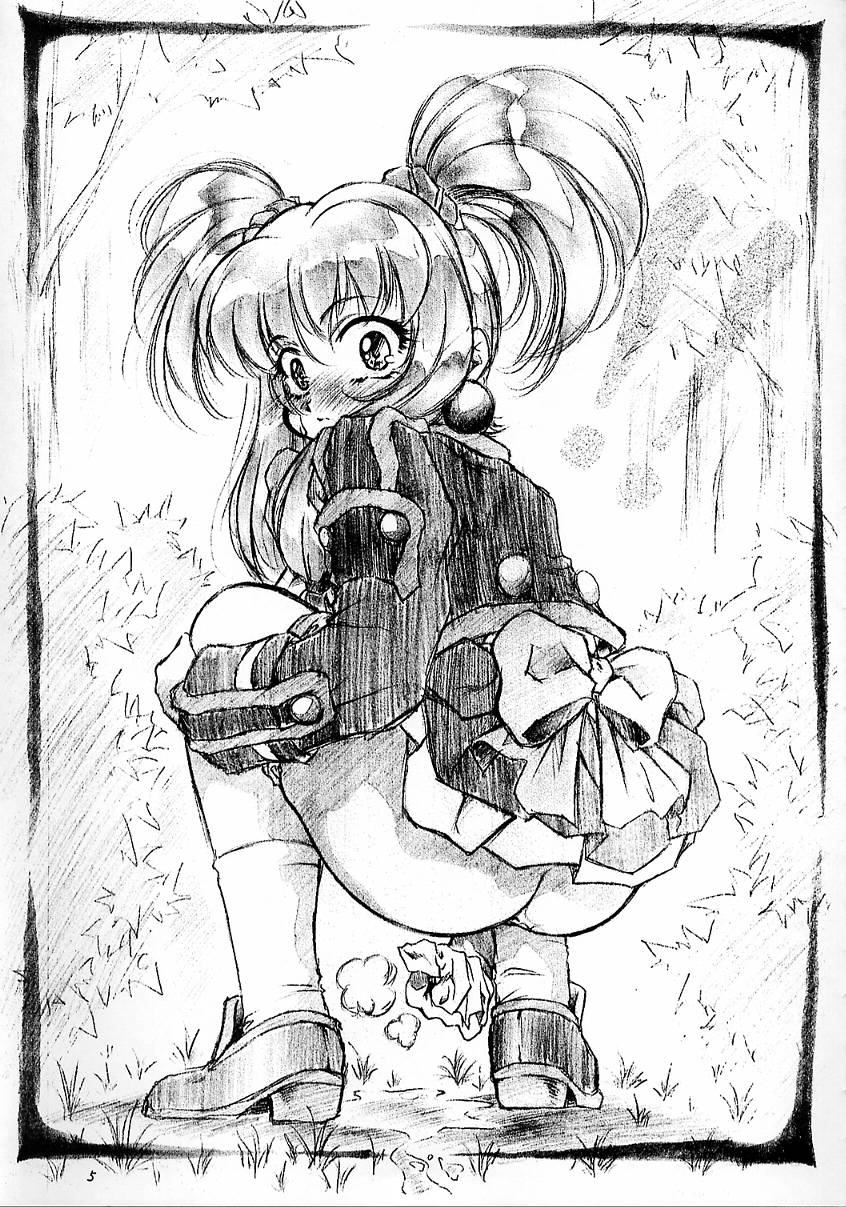 (C54) [姫倶楽部 (霧風)] 蕾 (アキハバラ電脳組)
