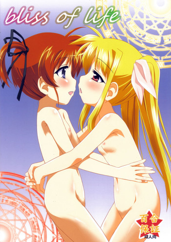 (C79) [ごべらっつぉ (向井弥・葵)] bliss of life (魔法少女リリカルなのは)
