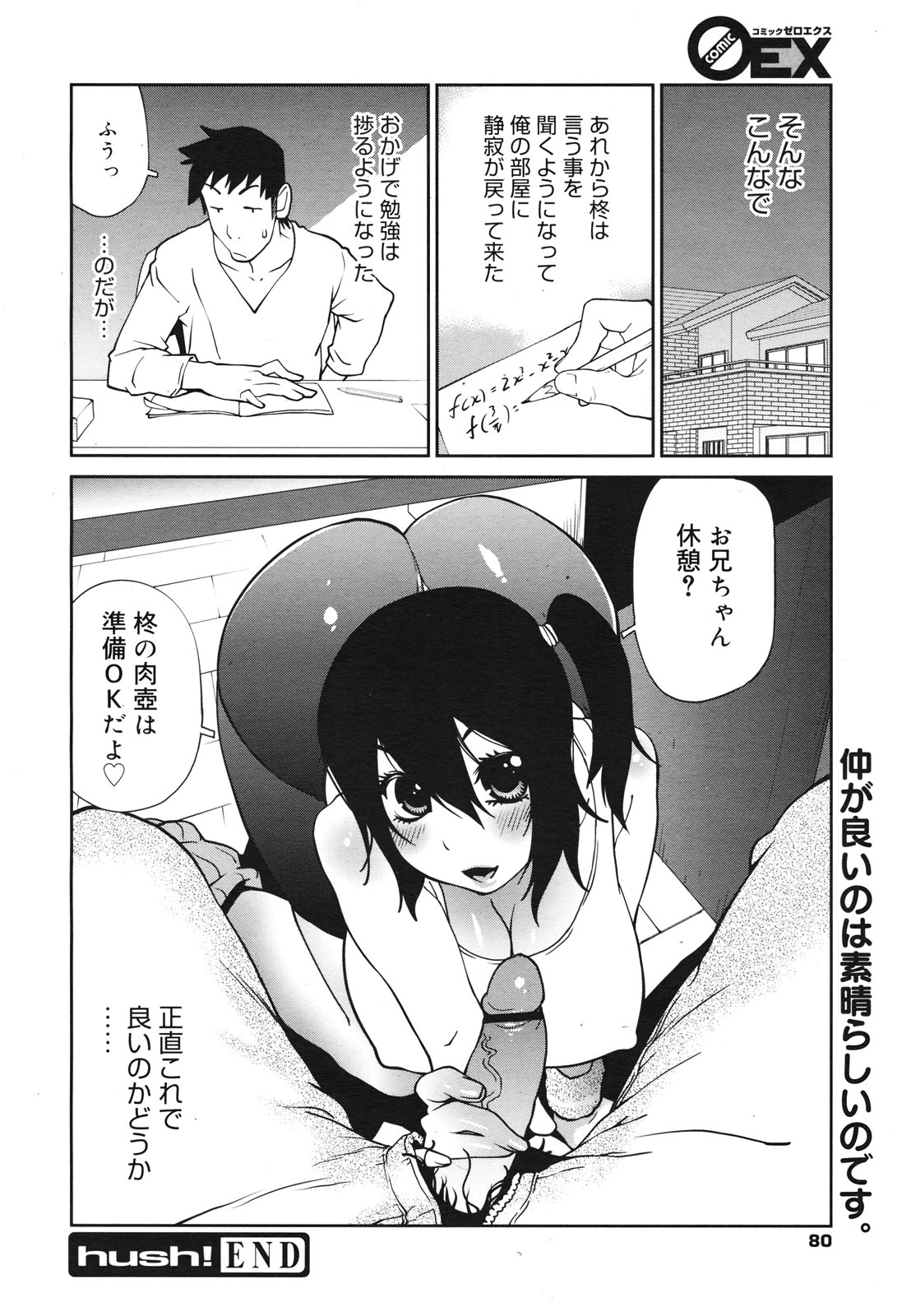 コミックゼロエクス Vol.28 2010年4月号