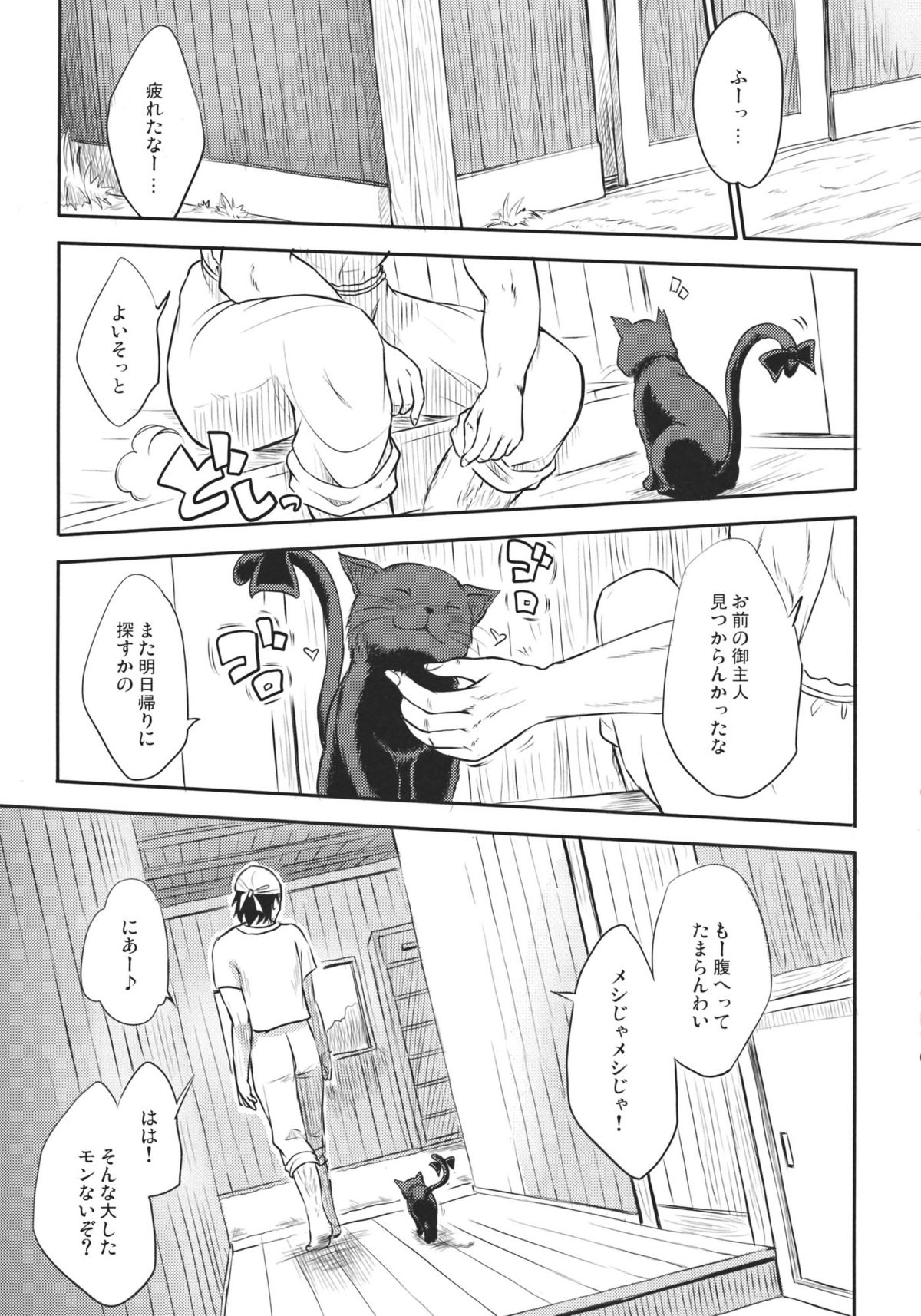 (例大祭8) [アビオン村F (ふぇっちー)] ねこのきもち。 (東方Project)