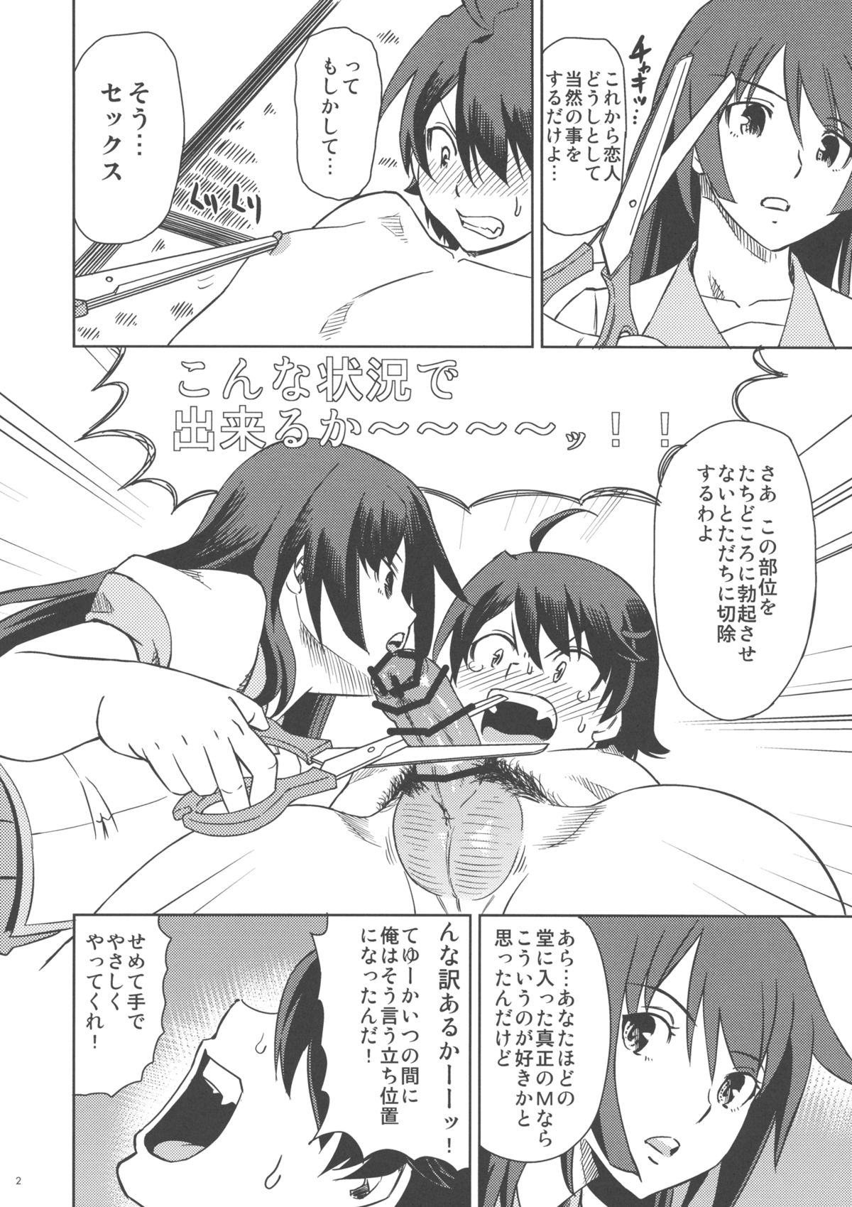 (C78) [ホームラン茶屋 (あべもりおか)] ひたぎストライク (化物語)