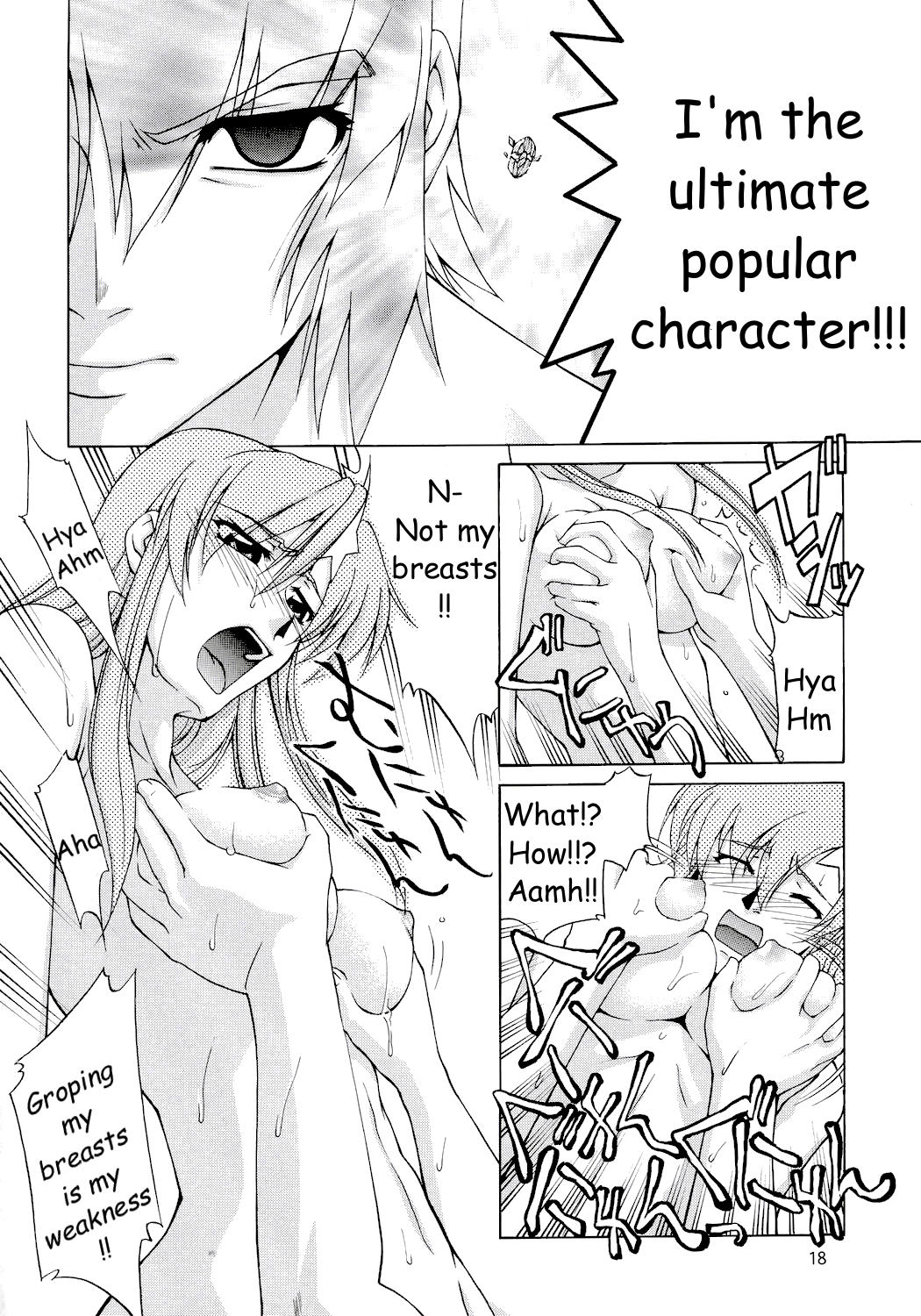 (C68) [Gold Rush (鈴木あどれす)] ミーアさんですってね! (機動戦士ガンダムSEED DESTINY) [英訳]